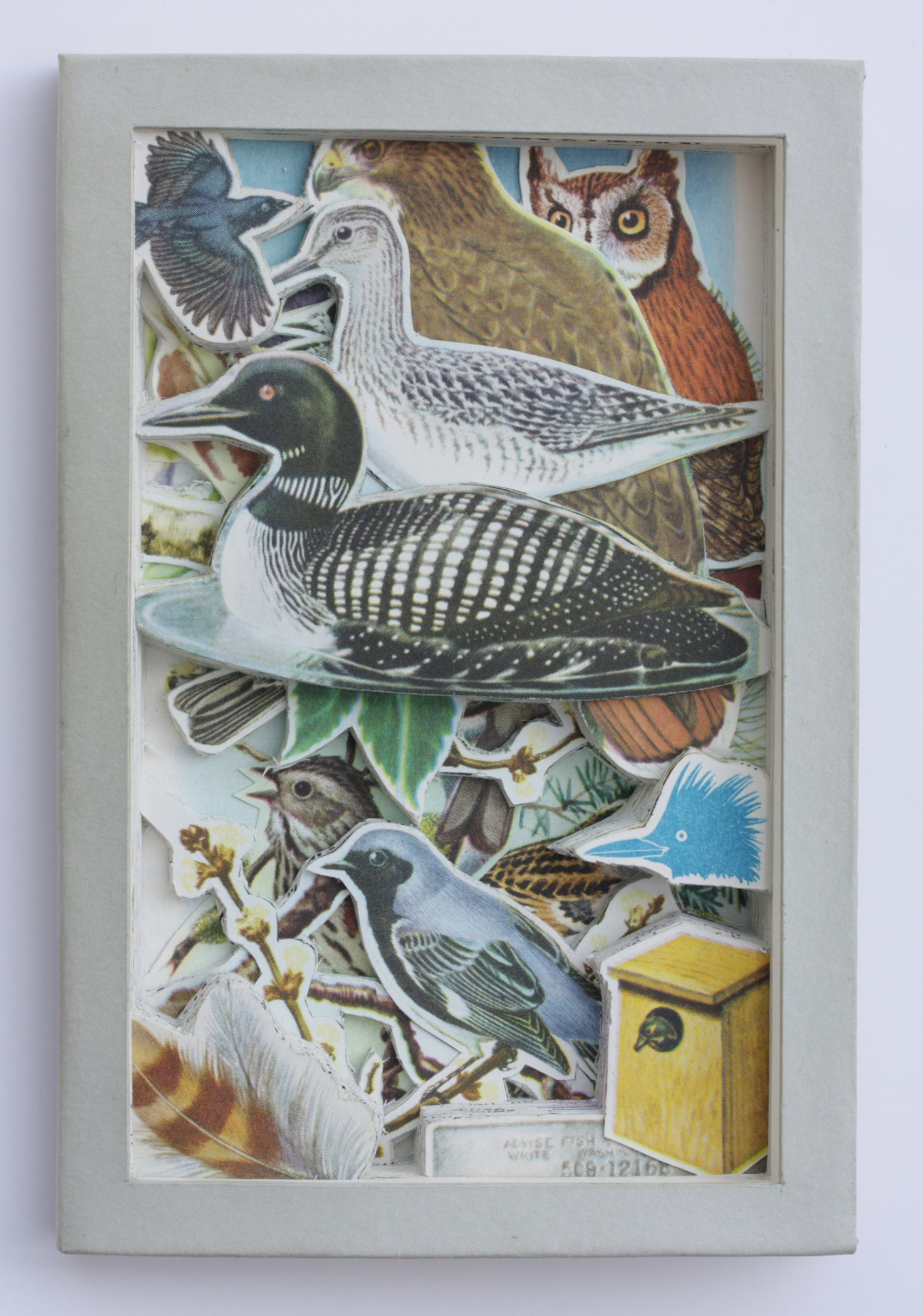 Birds