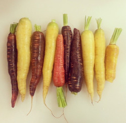 Local Carrots