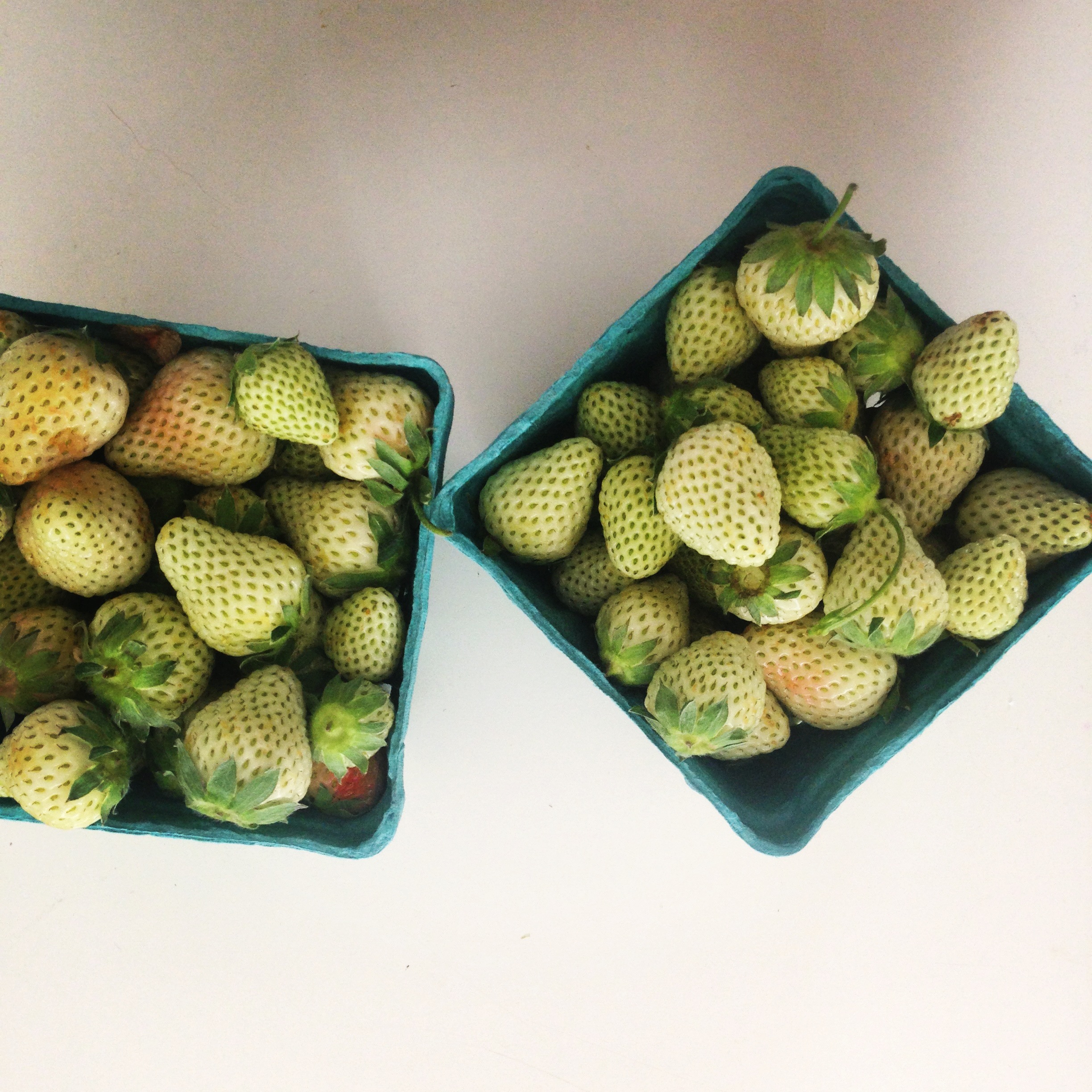 Portland Green Strawberries