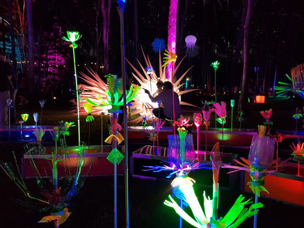 IMAGINARY BOTANICALS