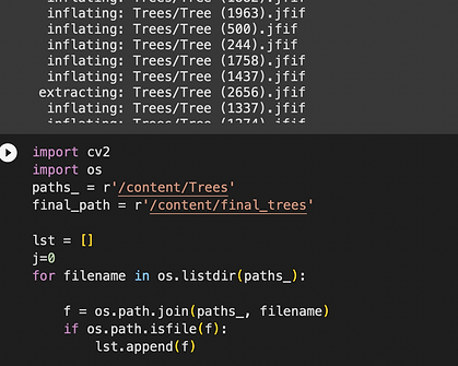 Screen Shot 2023-11-20 at 11.36.01 AM.png