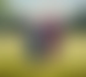 when life gives you tangerines