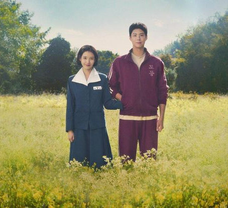 when life gives you tangerines