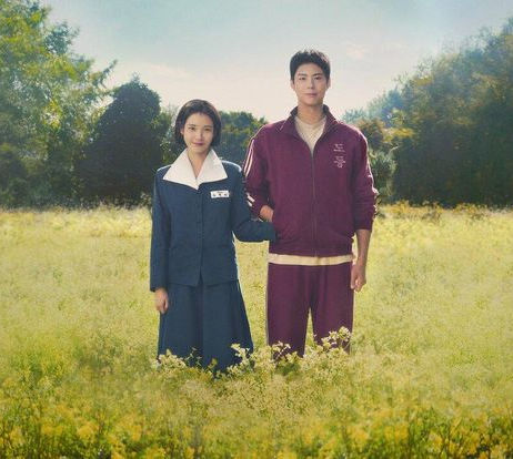 when life gives you tangerines