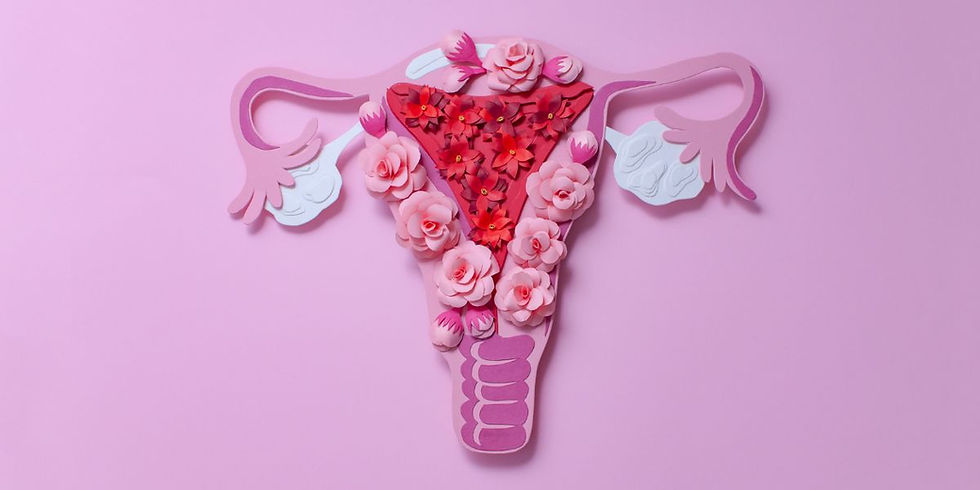 A paper diagram of a uterus, ovaries, and fallopian tubes