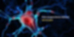 An inflamed nerve with text "how acupuncture relieves nerve pain"
