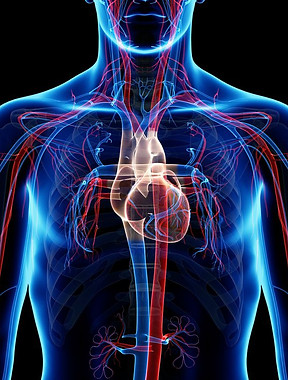 aparell circulatori.jpg