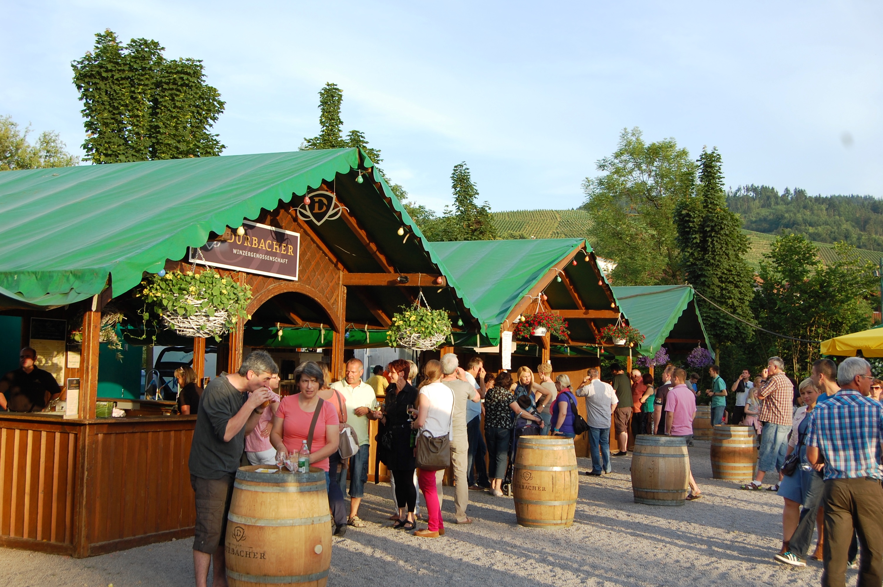  durbacher-weinfest Illustration 