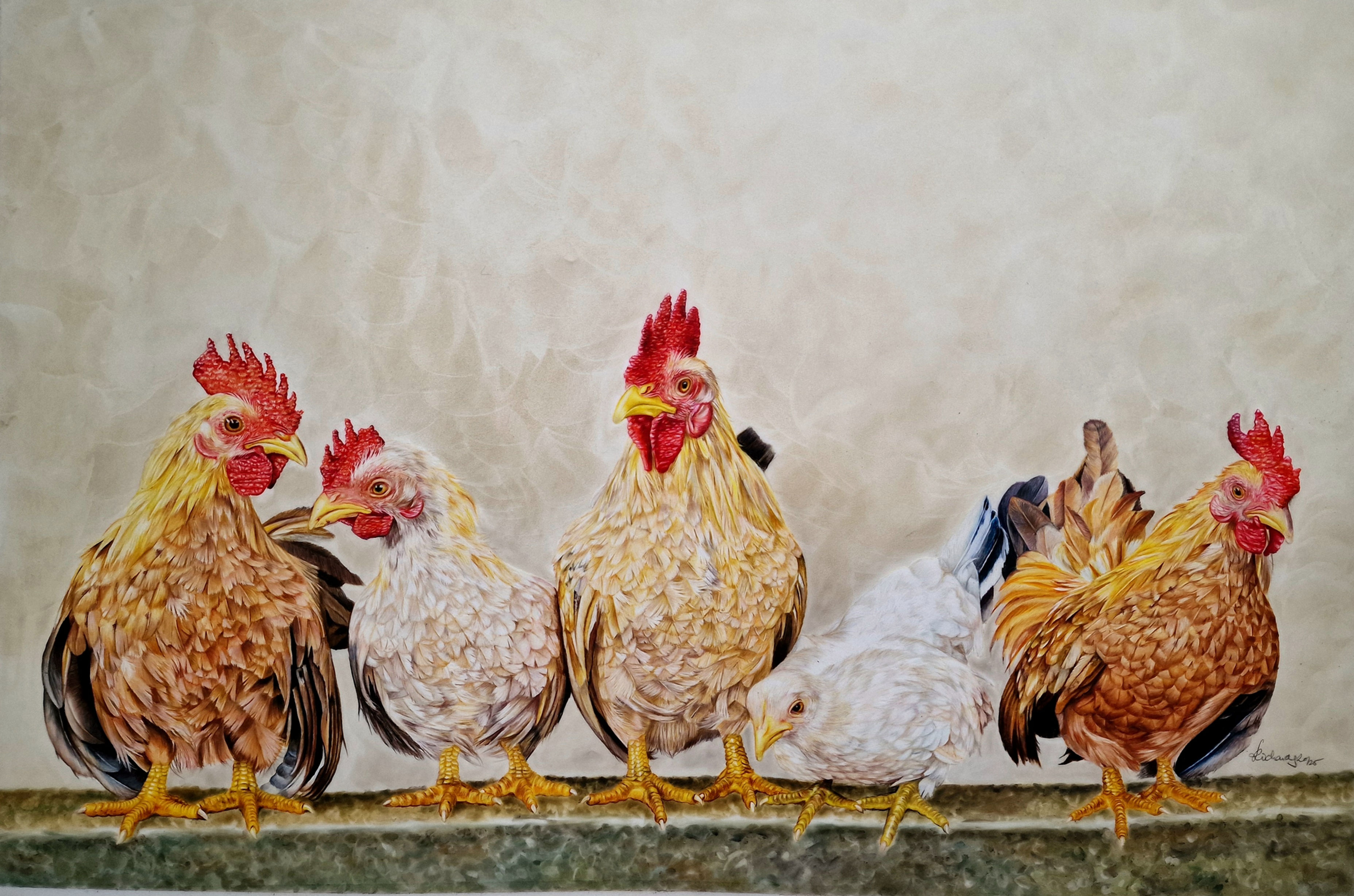 Zelda, Lorna, Pippa, Greta & Nora