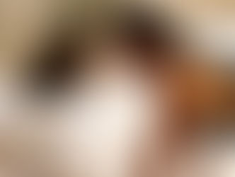 « LES VOLEURS DU LOUVRE »