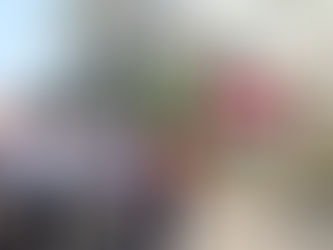 Acara Puncak Vianney Day