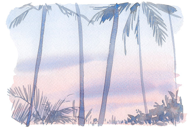 sketch100501s.jpg