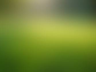 Top Tips for Maintaining Your Tall Fescue Lawn