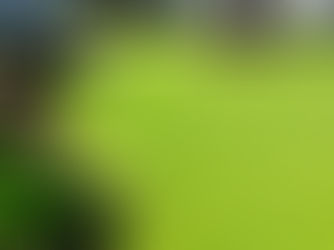 How Much Does Core Aeration Cost in Middle Tennessee?