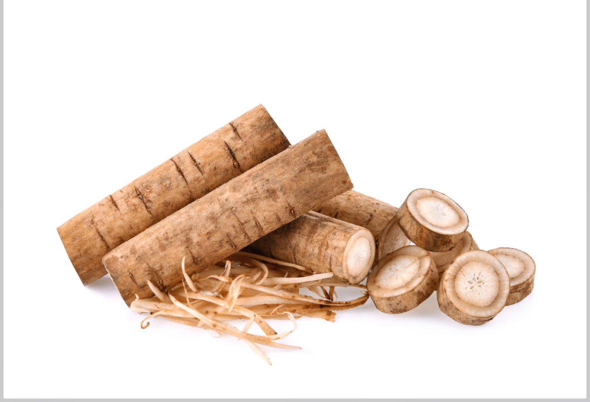 Burdock root (Arctium lappa) 