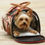 Thumbnail: Small Dog Travel Carrier