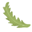 Green Leaf Illustration_edited.png