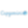Capgemini