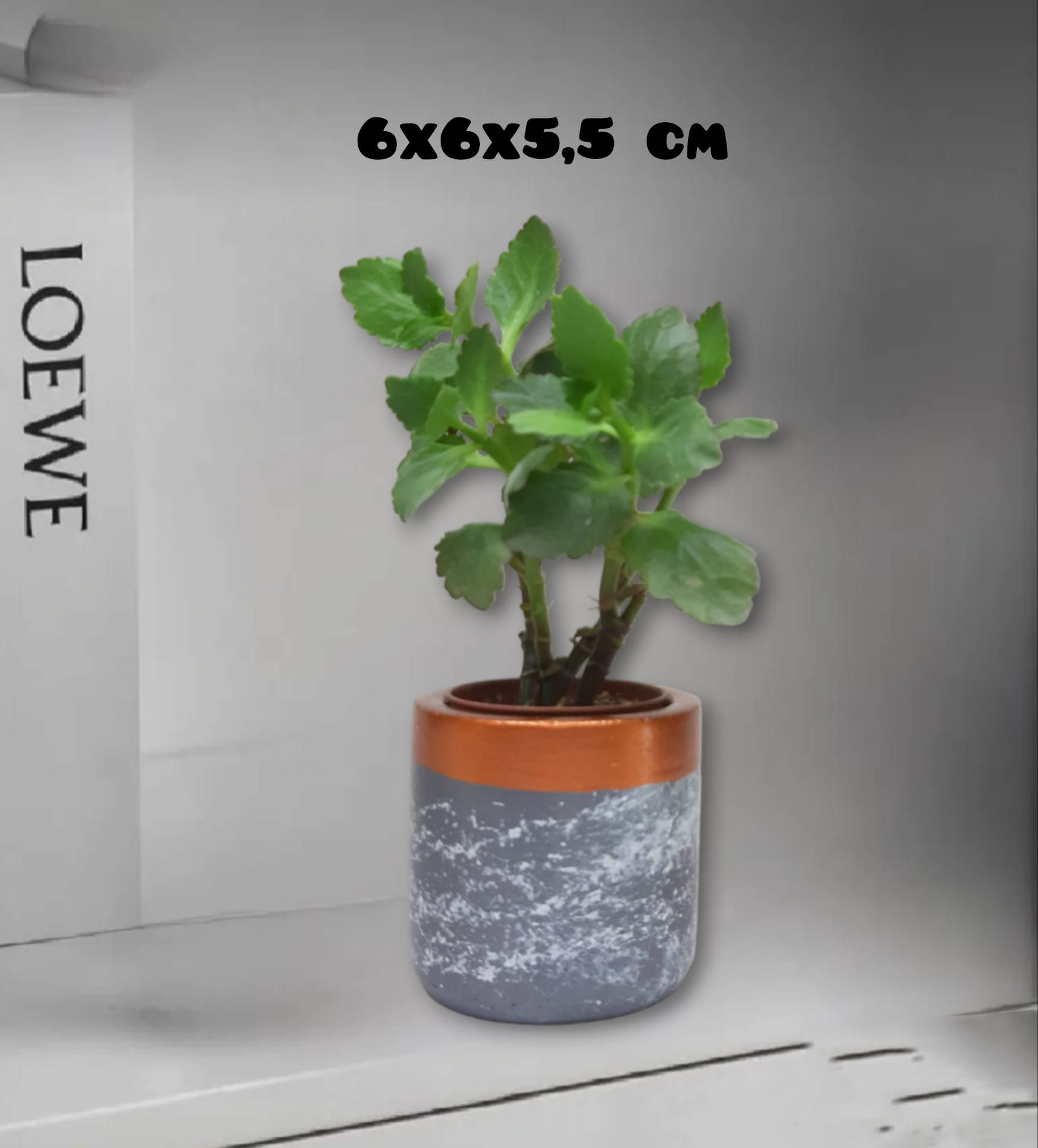 Gri Efektli Beton Saksı & Mumluk & Kalemlik