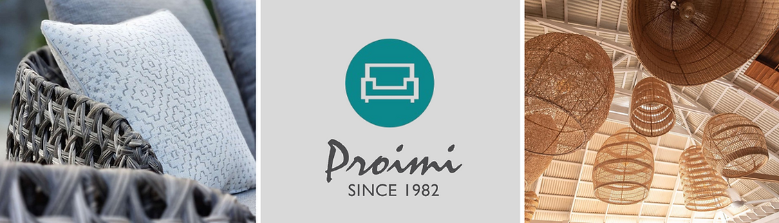 Proimi_Website Page Headers_Holly Dennis & Co..png