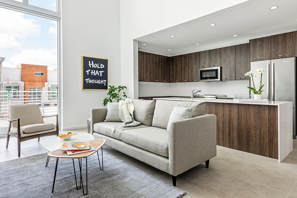 Downtown Sarasota Condo Living Room Interior Design by Holly Dennis at Risdon on 5th