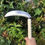 Thumbnail: Japanese Weeding & Harvesting Scythe