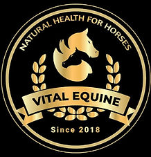 Vital Equine Logo_edited.jpg