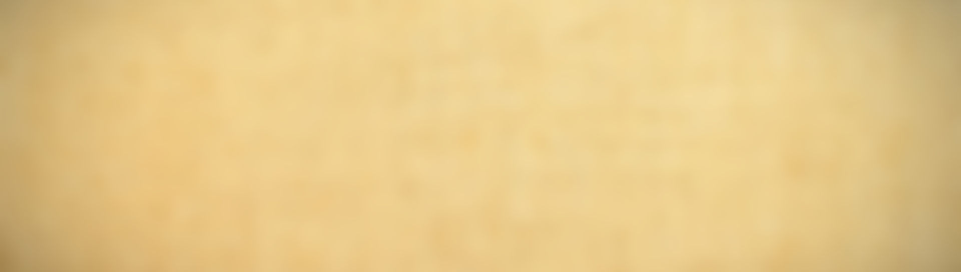 Canvas Texture_edited_edited.jpg