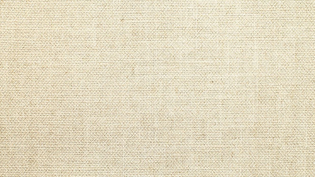 Canvas Texture.jpg