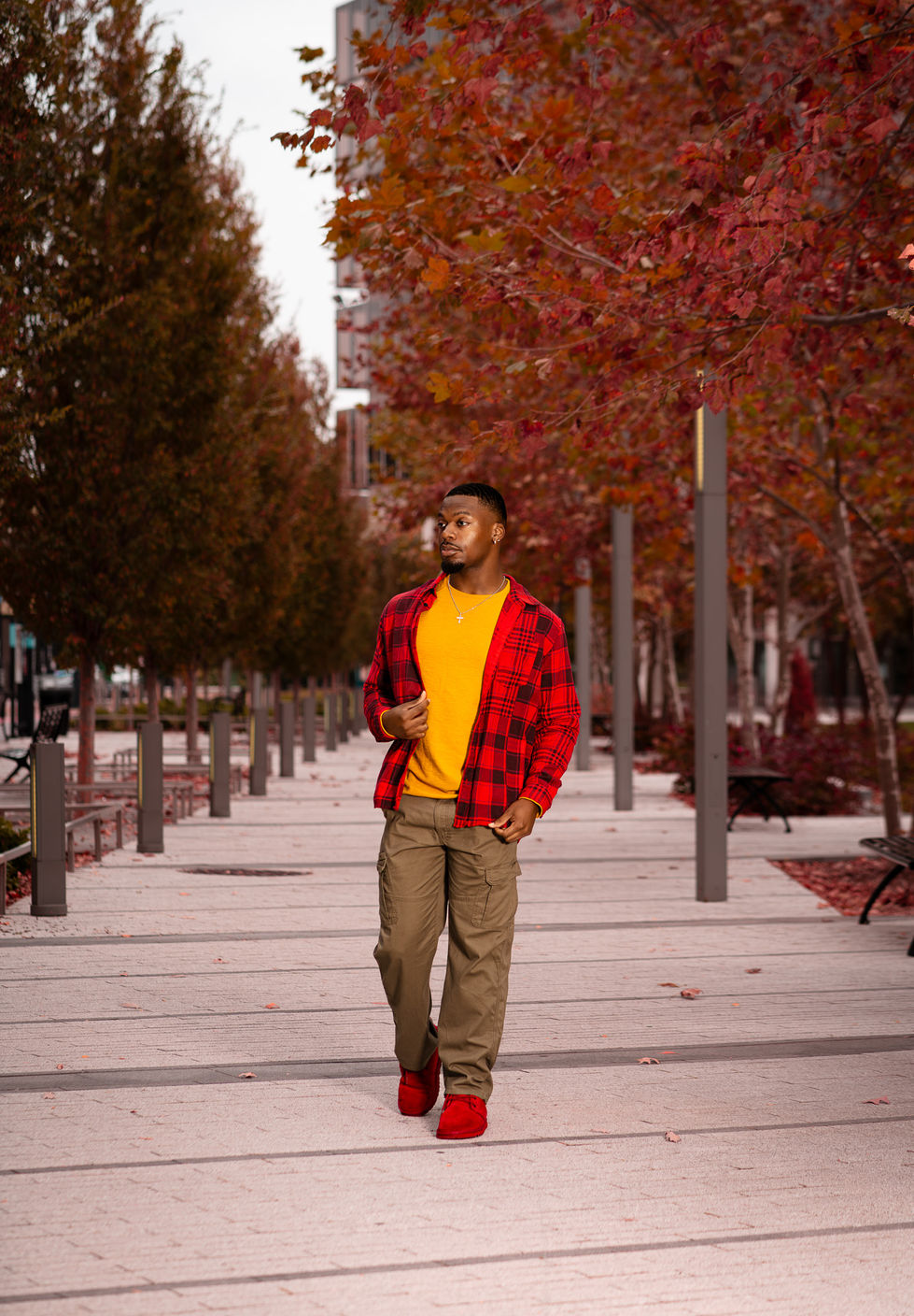 _DSC1233-Enhanced-NR