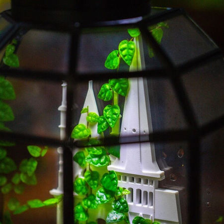 Tiny Vines, Big Scenes: Creative Ways to Grow Creeping Fig