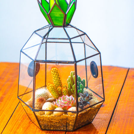 Cacti and succulents Pineapple Terrarium Project