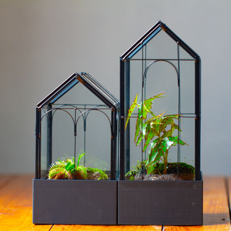 vintage house shape moss and carnivorous plants terrarium ideas