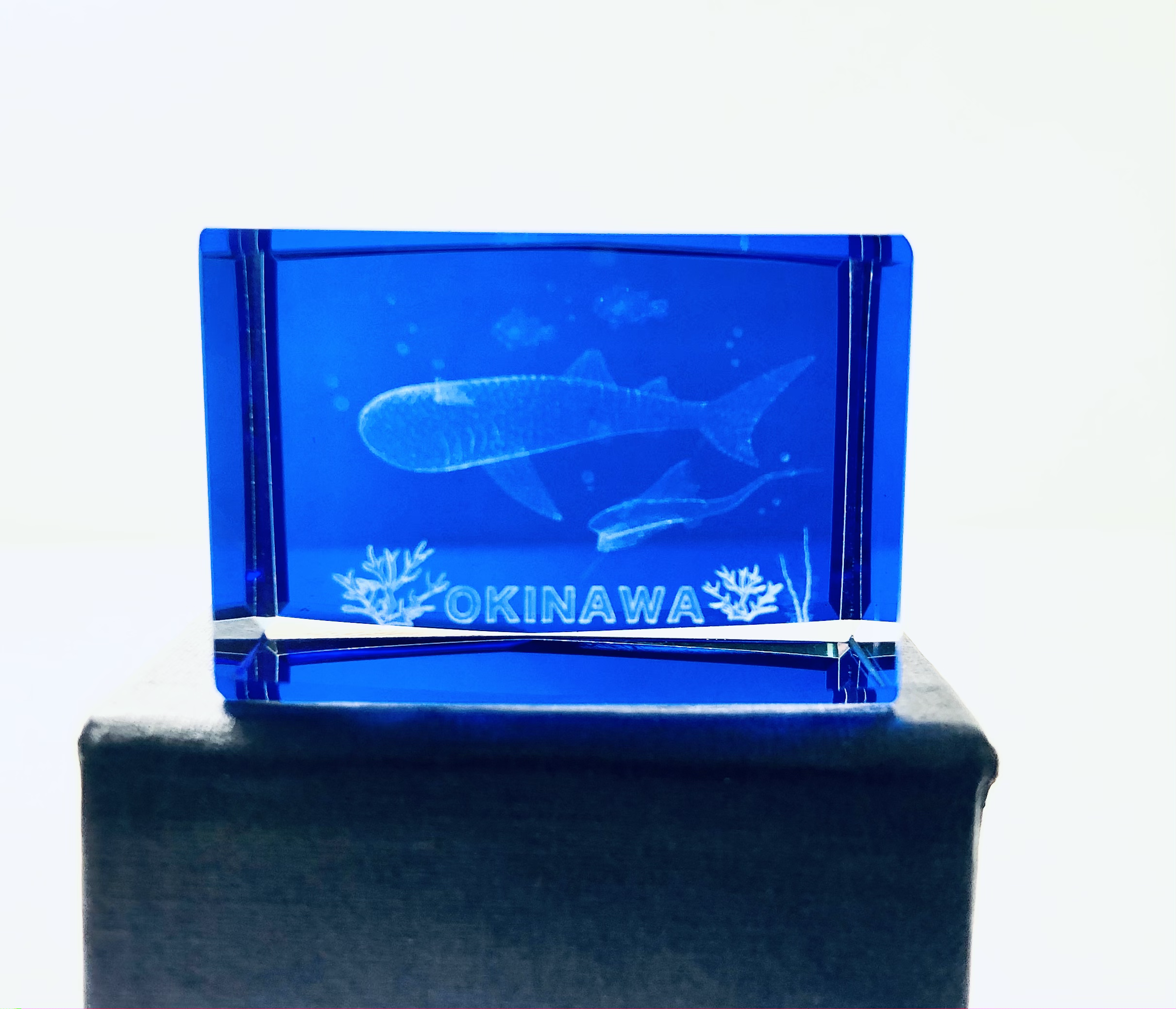 クリスタルジンベエ　OKINAWA小