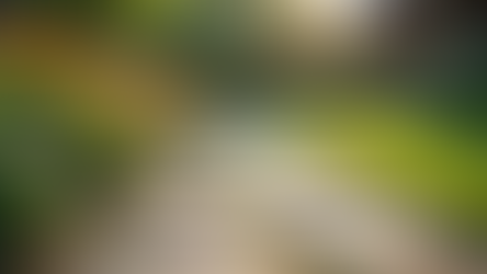 Get Your Free Estimate for Beautiful Landscaping Today