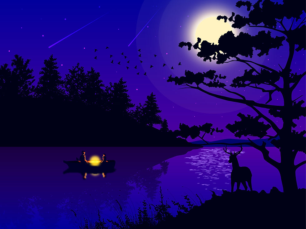 Beauty Of The World