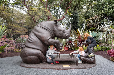 GO WILD: An Immersive Animal Adventure