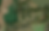 Thumbnail: HARRIS COUNTY, TX/ 102-594-000-0004