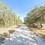 Thumbnail: DIXIE COUNTY, FL/ 36-10-13-5665-000-90240