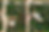 Thumbnail: DIXIE COUNTY, FL/ 36-10-13-5665-000-90240