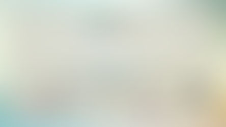 ASF Silent Auction Coming Soon