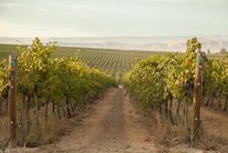 Screenshot 2026-04-04 142707