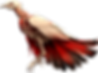 Bird-5petit-left.png
