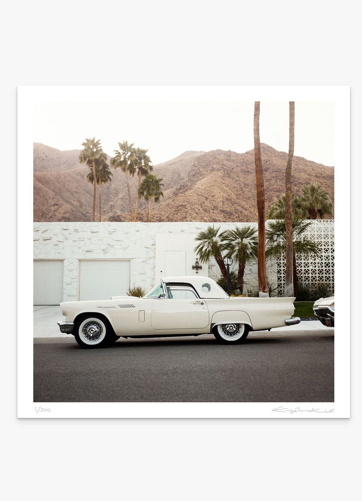 Limited Edition - Midcentury Monochrome