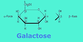 Galactose.jpg