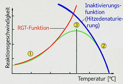 Temperaturabhängigkeit Enzyme.jpg
