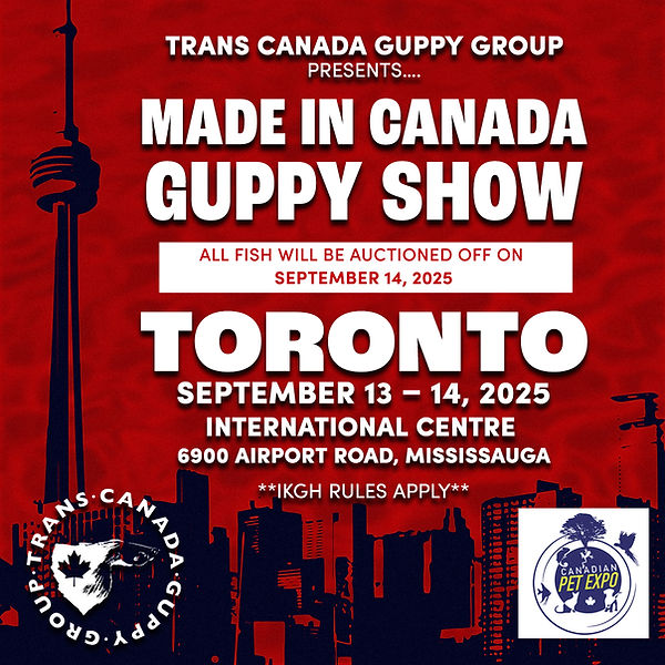 Made in Canada Guppy Show 2025_1200x1200.jpg