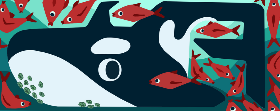 Whale OG Design