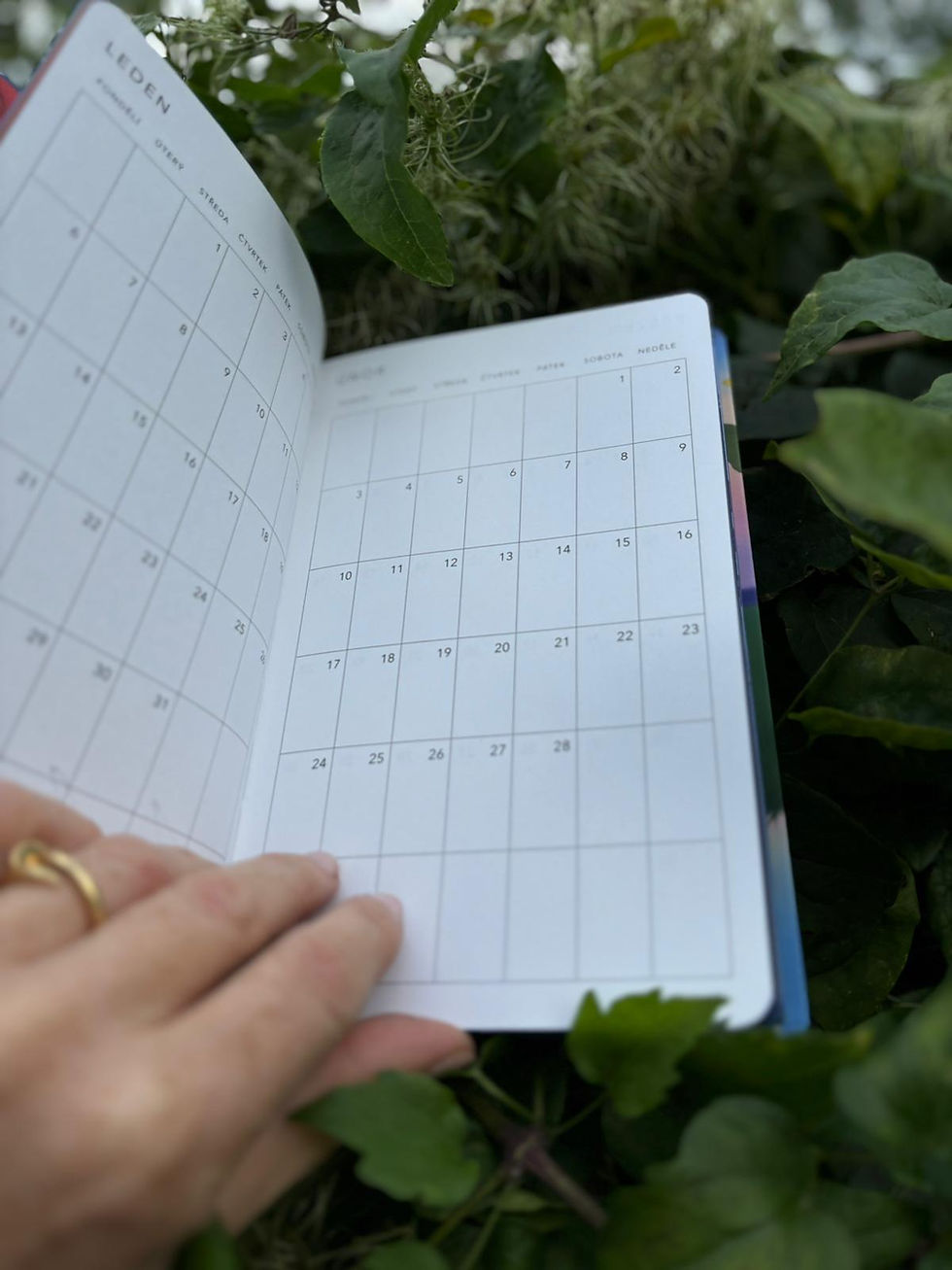 Miniatura: Diář na r. 2025