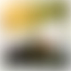 Comment est né l'Aquassage ?